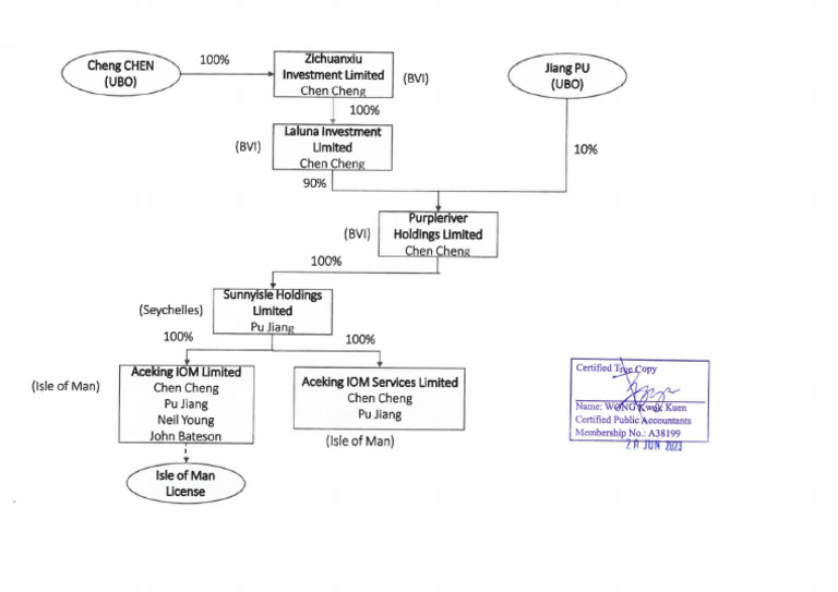 Aceking IOM Limited Ownership Structure - BW | PDF