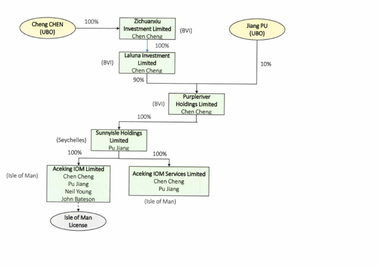 Aceking IOM Limited Ownership Structure | PDF