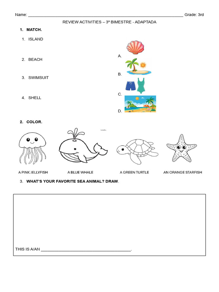 Atividade Ingles - 3 Ano - Adaptada | PDF