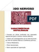 Aula Teórica Histologia - Tecido Nervoso e Muscular