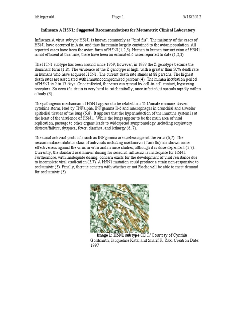 H5N1 Preparedness and Immune Strategies | PDF | Influenza A Virus ...