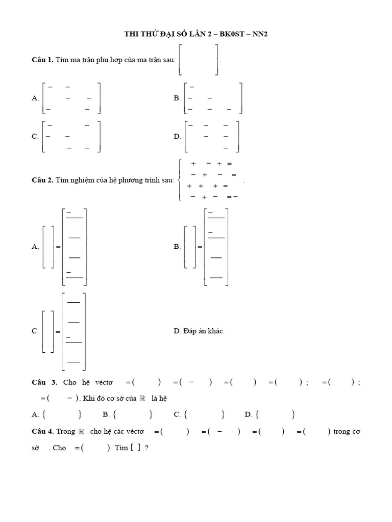 Đề ĐS NN2 | PDF