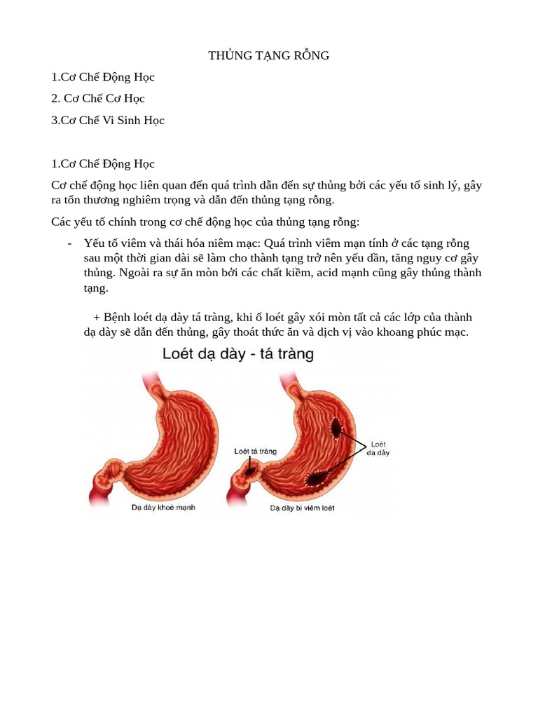 Cơ Chế Thủng Tạng Rỗng | PDF