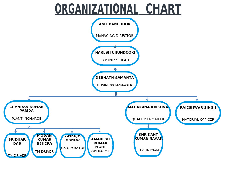 Grey and Colorful Modern Clean Company Structure Organizational Chart | PDF