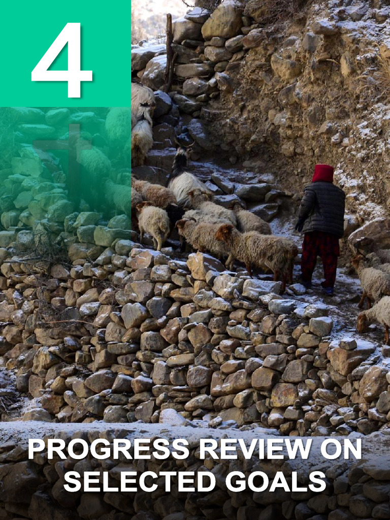 An Overview of Pakistan Progress On Selected UN SDGs | PDF ...