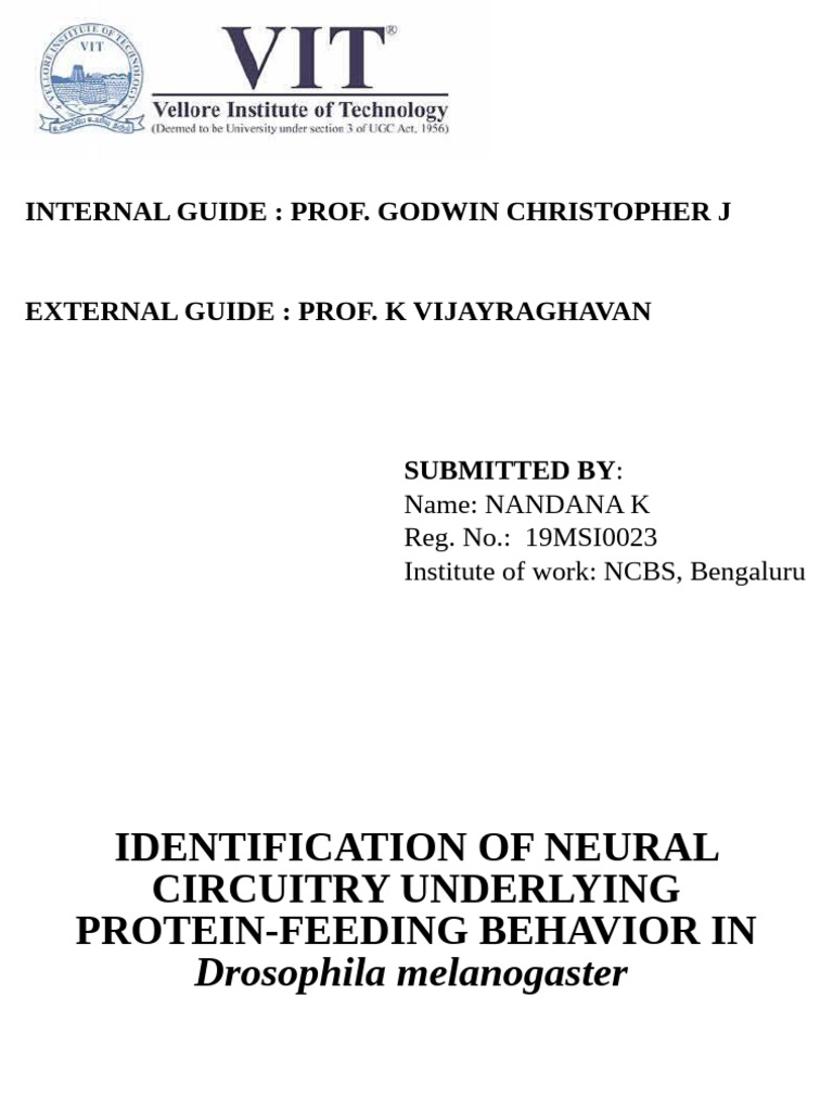 Research work | PDF | Drosophila Melanogaster | Fly