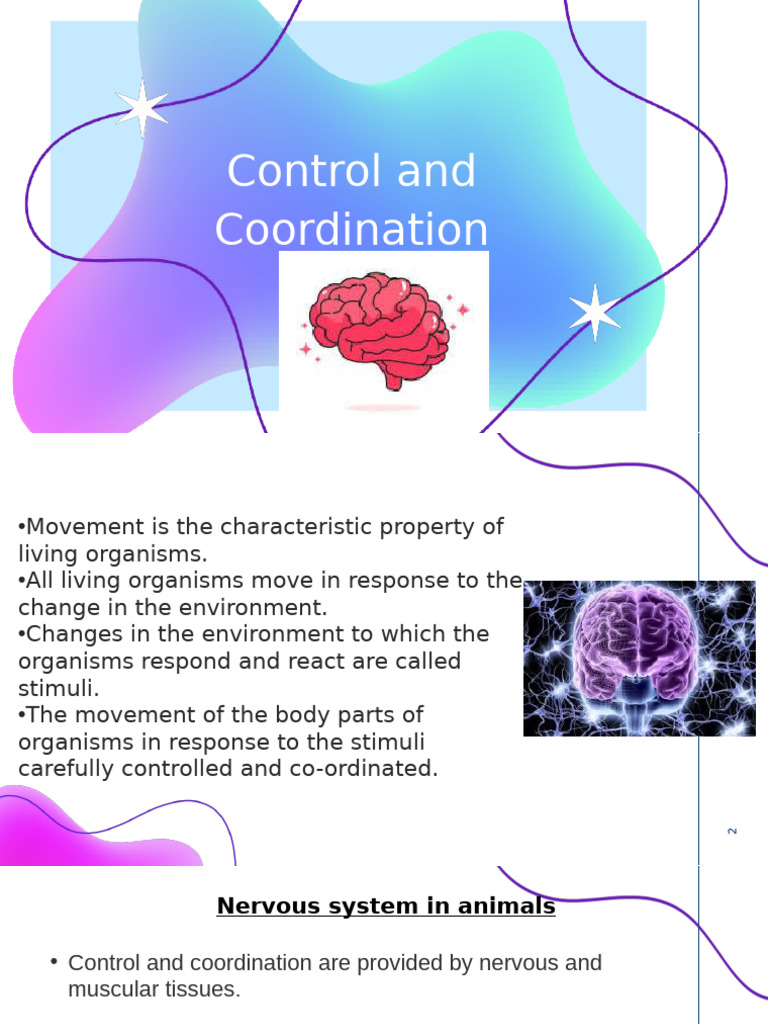 Control and Coordination in Organisms | PDF | Central Nervous System ...