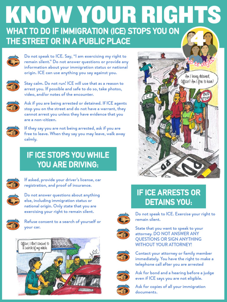 What To Do If Ice Stops You On The Street - English | PDF | Emigration ...