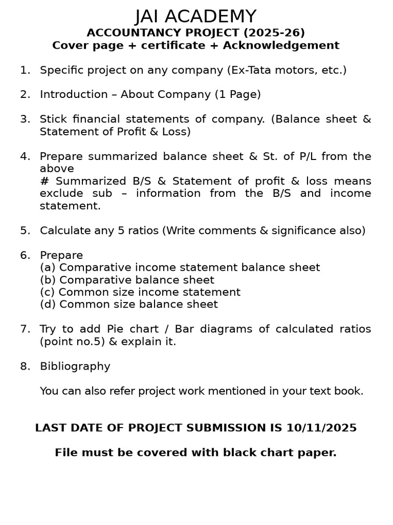 Accountancy Project (2025-26) Update | PDF
