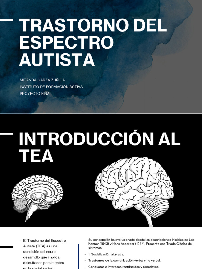 Guía Completa sobre el Trastorno del Espectro Autista | PDF | Autismo ...