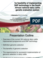 Implementing Genomic Selection in SA Dairy Cattle