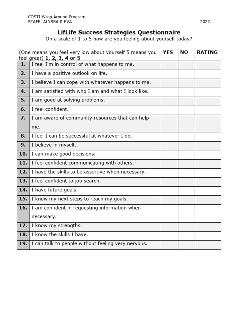 Life Success Strategies Questionnaire | PDF