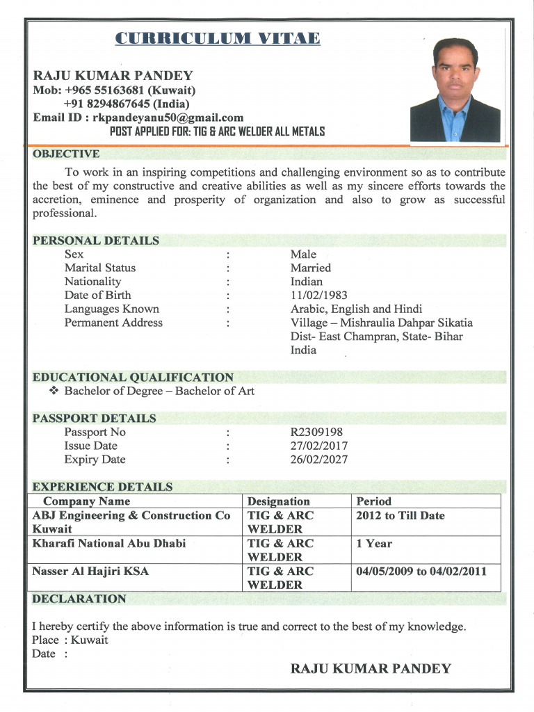 RAJ KUMAR CV - Merged - Merged | PDF