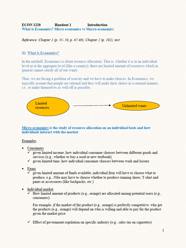 Economics: Micro vs Macro Overview | PDF | Economics | Consumer Price Index