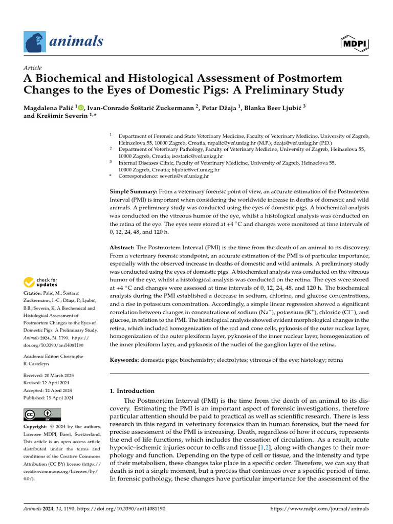 A Biochemical and Histological Assessment of Postm | PDF | Retina ...