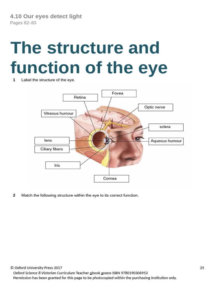 22.10.25 Eye Work.pdf | PDF | Eye | Myopia