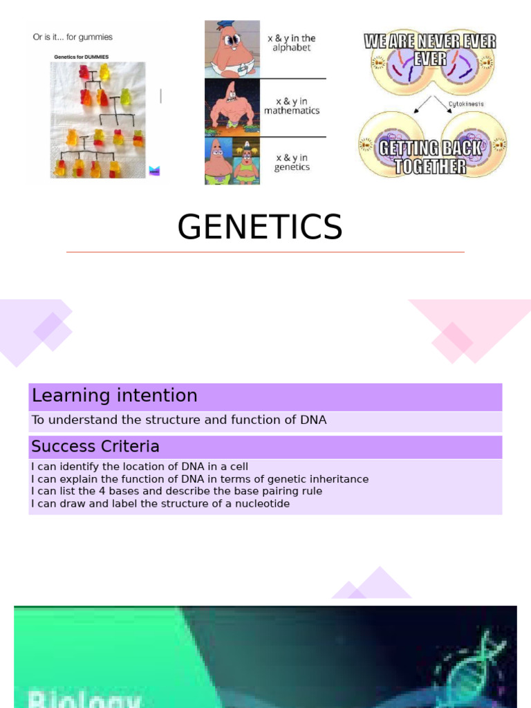 Understanding DNA, Chromosomes, and Genes | PDF | Dna | Nucleotides