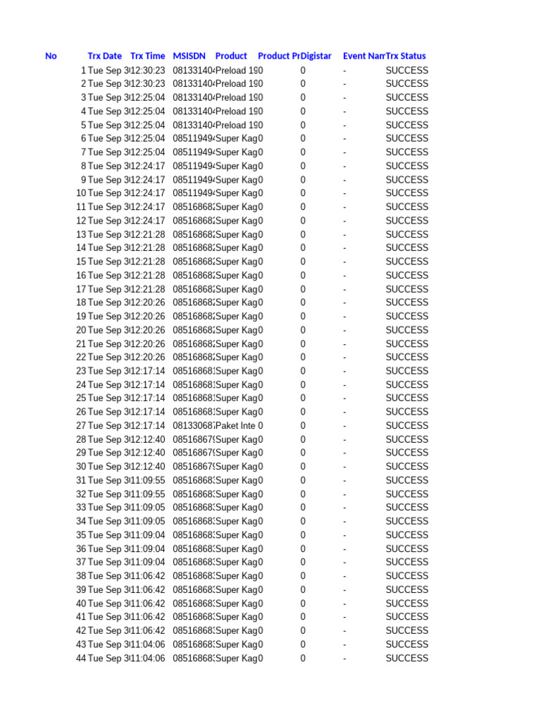 TransactionDsiData 1759307853817 | PDF