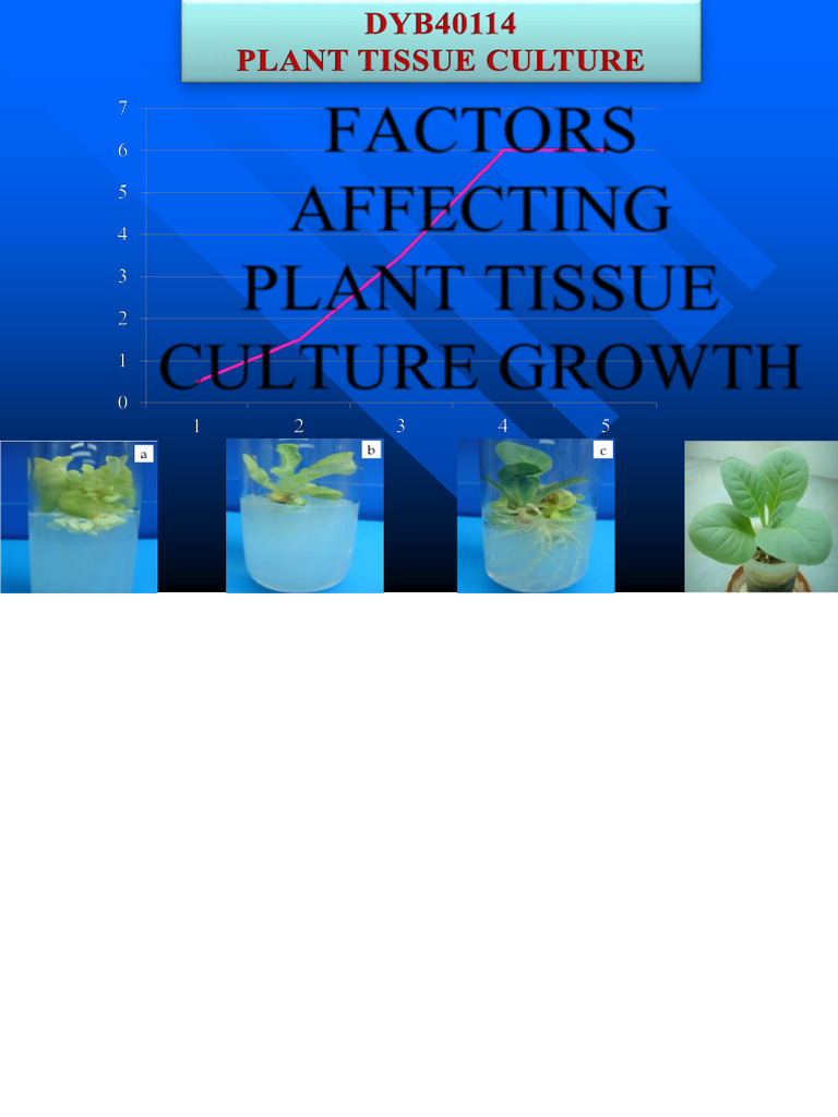 6.0 Factors Affecting Plant Tissue Culture Growth | PDF | Carbon ...