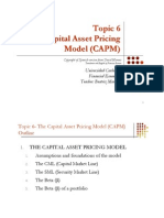 Financial Management - Topic 6 - CAPM