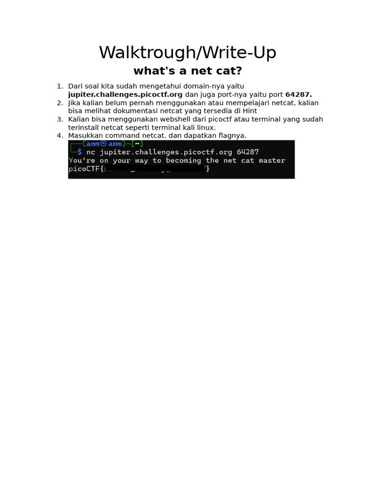 Panduan Menggunakan Netcat di PicoCTF | PDF