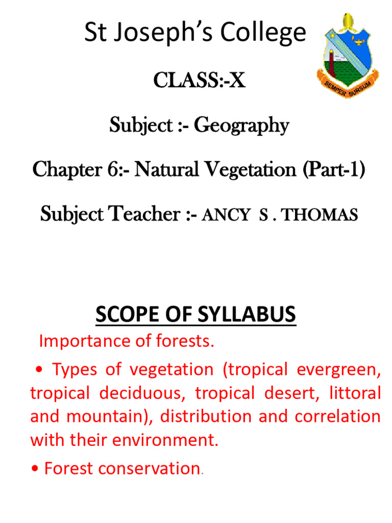 Natural Vegetation Types and Importance | PDF | Trees | Forests