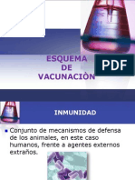 Esquema de Vacunaciòn