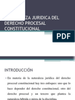 Naturaleza Juridica Del Derecho Procesal Constitucional