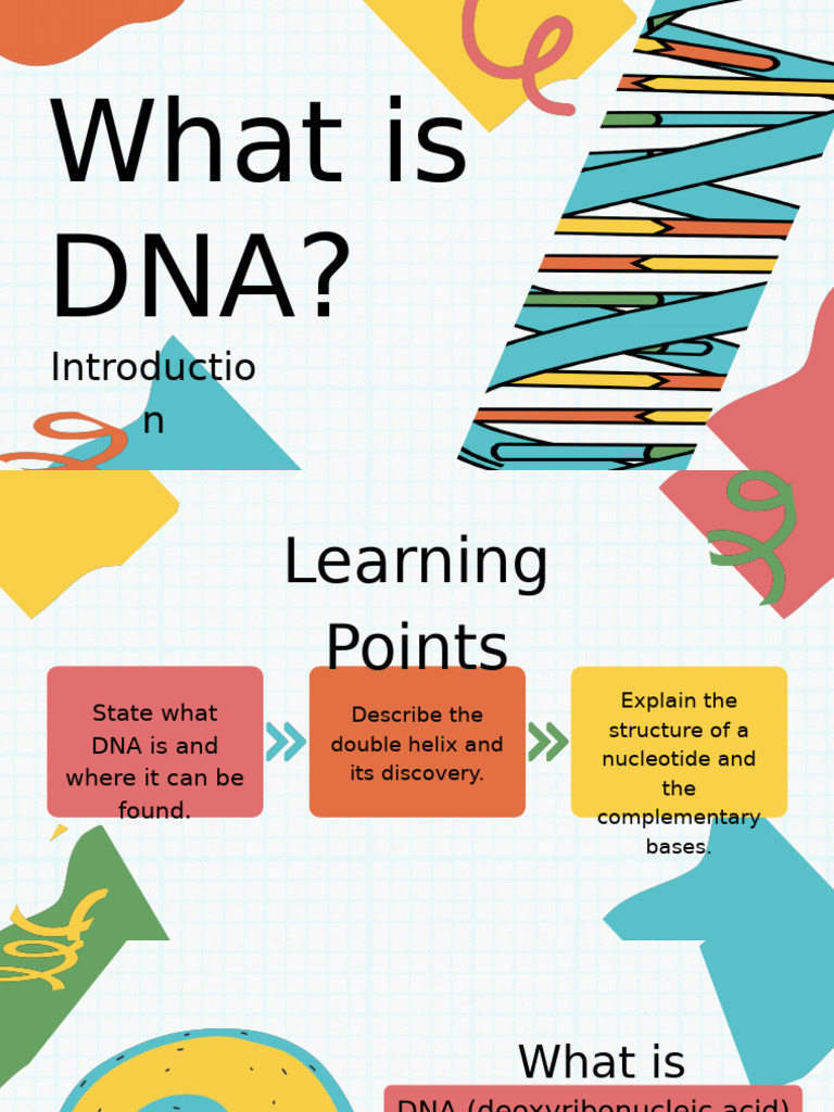 Understanding DNA Structure and Function | PDF