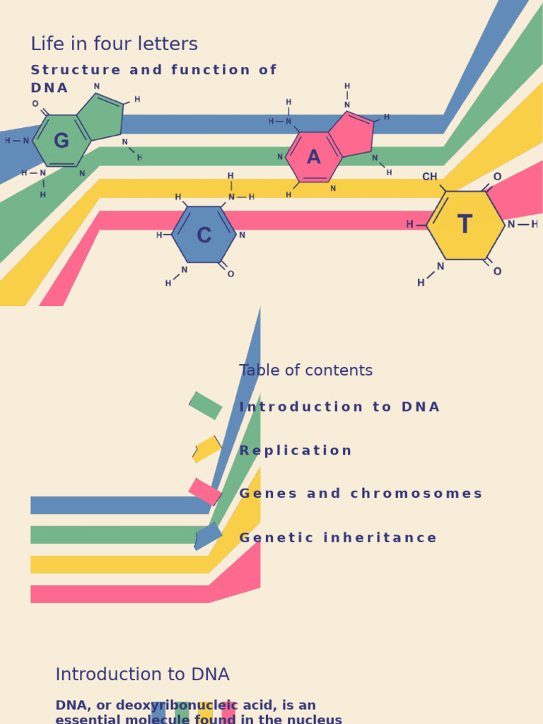 Understanding DNA Structure and Function | PDF | Dna | Genetics