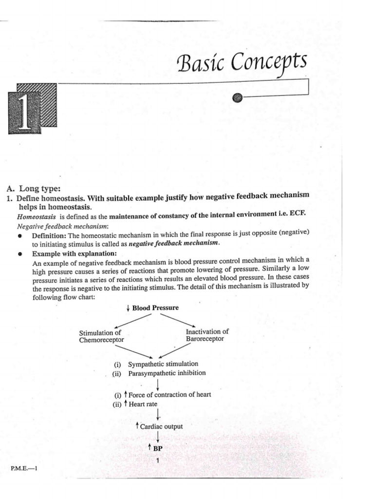 Basic Concepts of Physiology | PDF