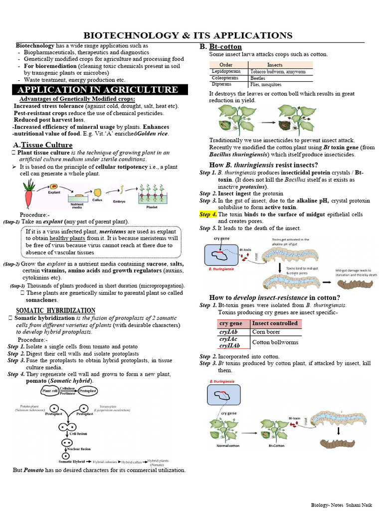 Biotechnology Applications in Agriculture | PDF | Recombinant Dna | Gene