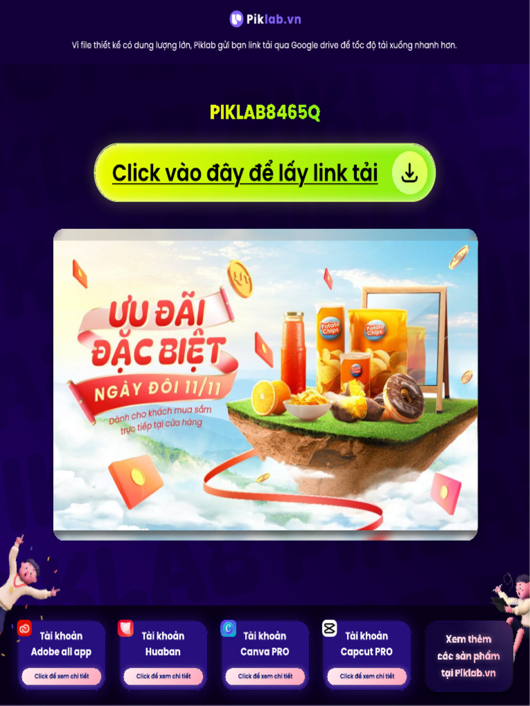 Piklab 8465 Qbsejw | PDF