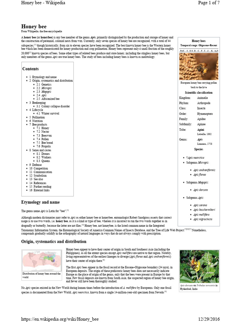 Honey Bee 2016 | PDF | Honey Bee | Western Honey Bee
