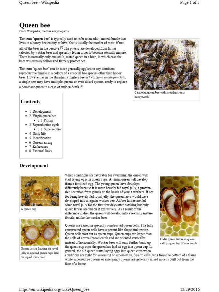 Understanding Queen Bees and Their Role | PDF | Domesticated Animals ...