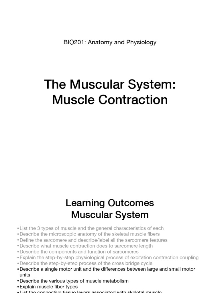 Understanding Muscle Contraction and Types | PDF | Skeletal Muscle ...