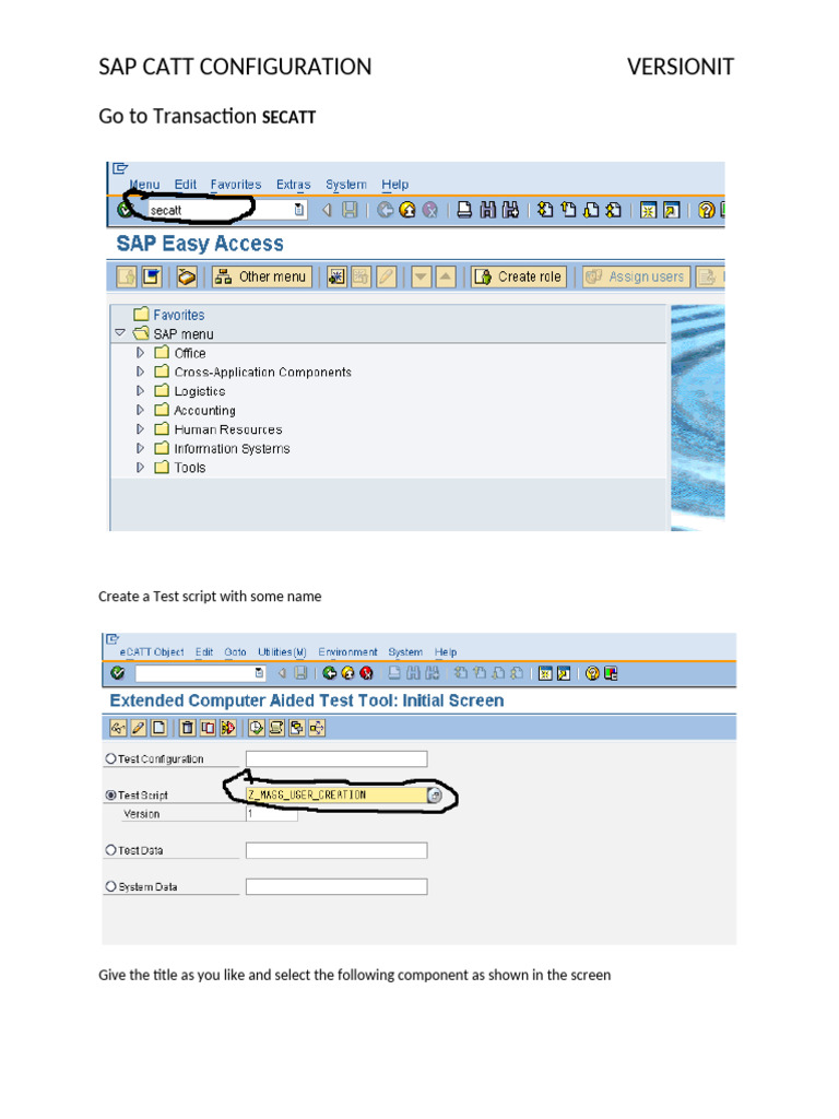 e Catt Scripting | PDF | Computing | Software