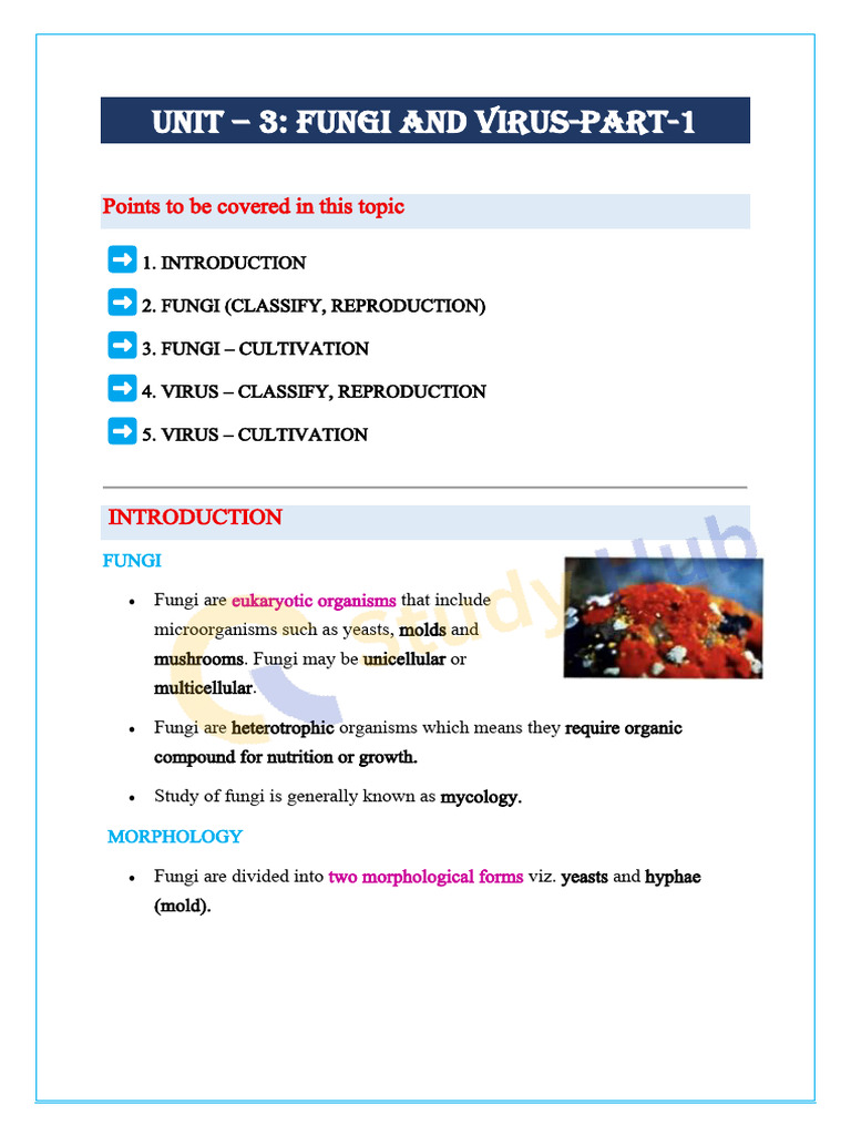 Fungi and Virus: Classification and Cultivation | PDF | Virus ...