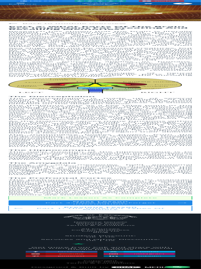 Brain Parts in Memory Formation | PDF | Memory | Thalamus