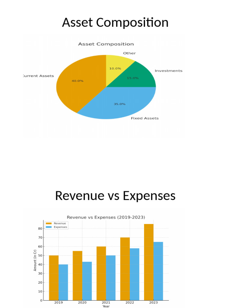 Auditor Report Charts-1 | PDF
