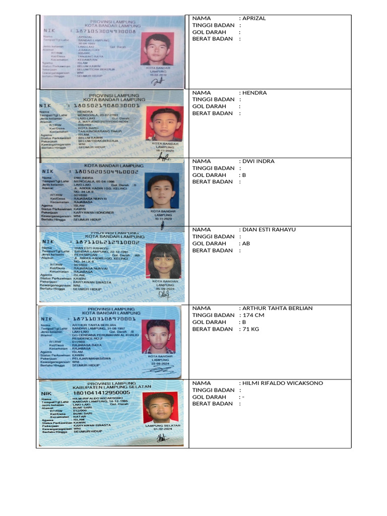 Data Profil Kesehatan Individu | PDF