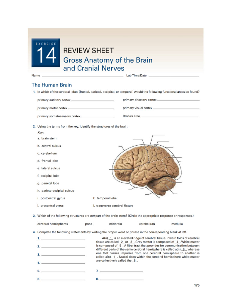 Lab Exercise 14 | PDF