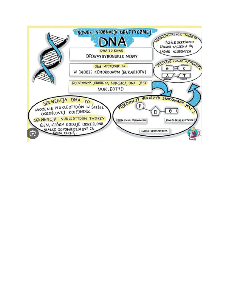 Dna | PDF