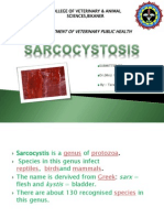 sarcocystosis-101026165826-phpapp02