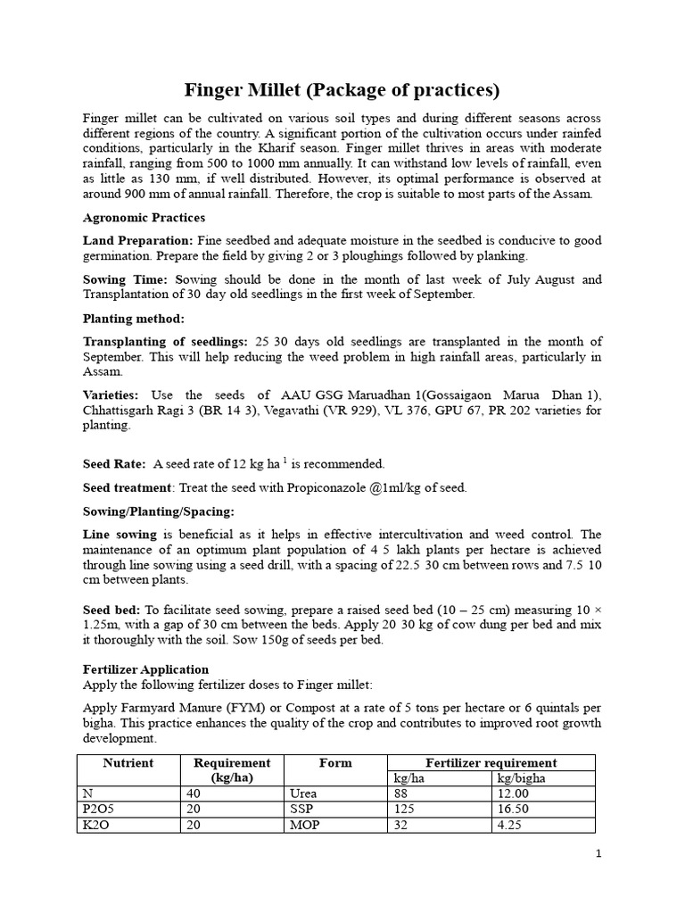 Finger Millet POP (English) | PDF | Manure | Fertilizer