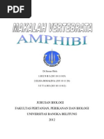 Download makalah amfibi by Nita Kusuma Loka SN94106377 doc pdf
