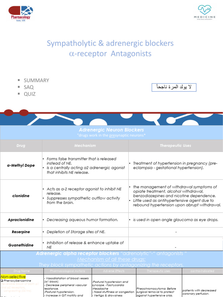 Alpha-1 Adrenergic Blockers Overview | PDF | Prostate | Hypertension