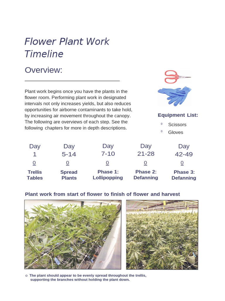 Essential Flower Plant Work Guide | PDF | Convection | Greenhouse