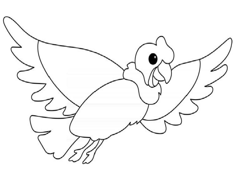 Condor | PDF