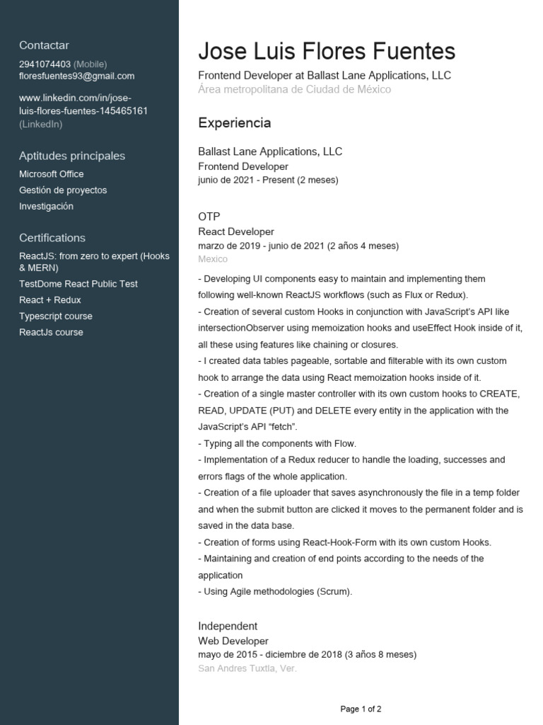 Frontend Developer Profile: Jose Luis Flores | PDF | Web Software ...